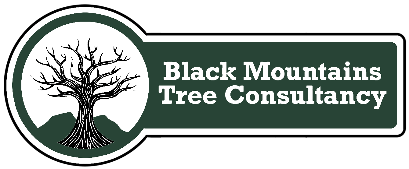Black Mountains Tree consultancy