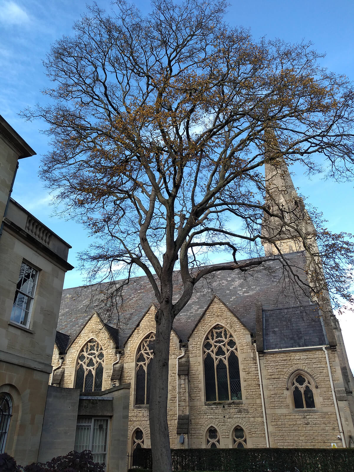 Outdoor Building Entrance Door