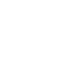 Tree Png