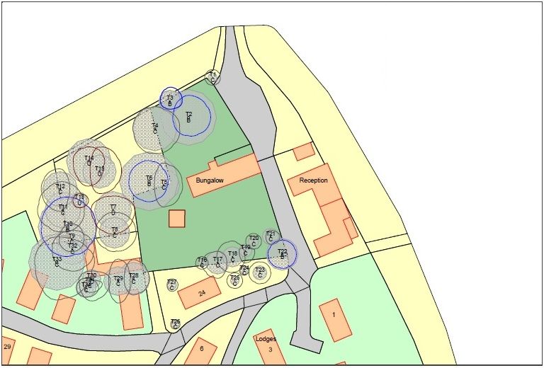 BS tree survey consultancy and planning services graphic