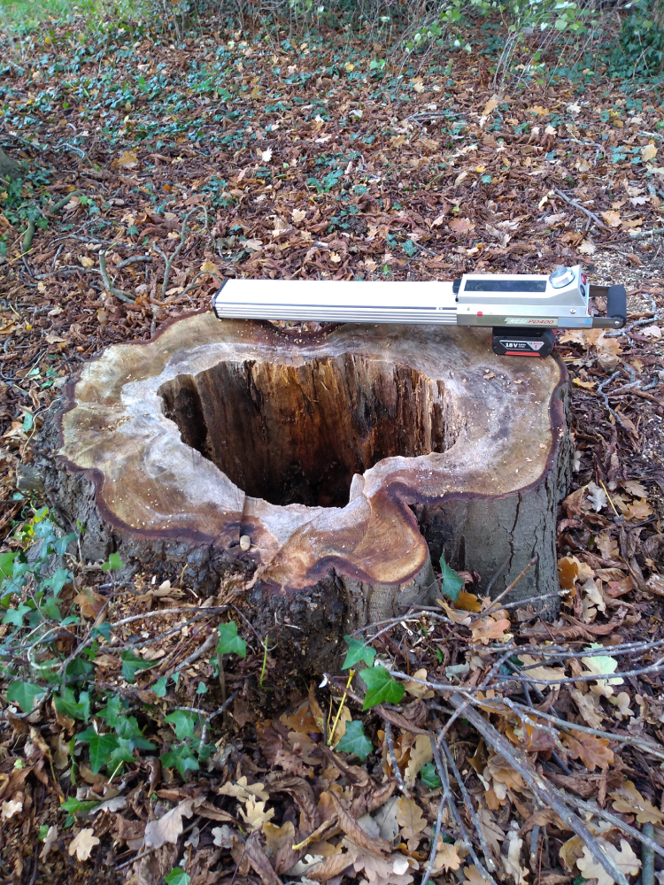 Hollow tree stump with a measuring tool