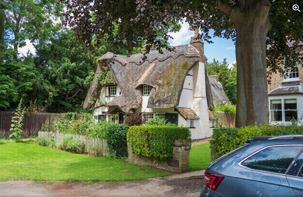 Professional tree risk assessment outdoors