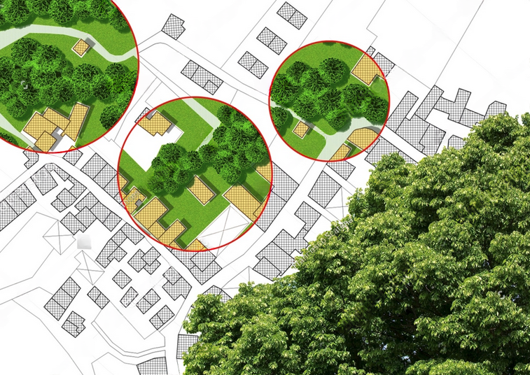 Tree Inventory Survey