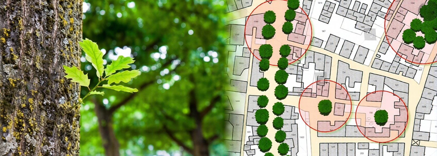 Planning Survey Service