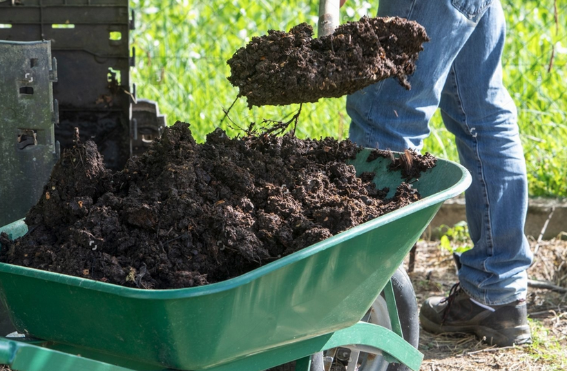 Rich Soil for better care