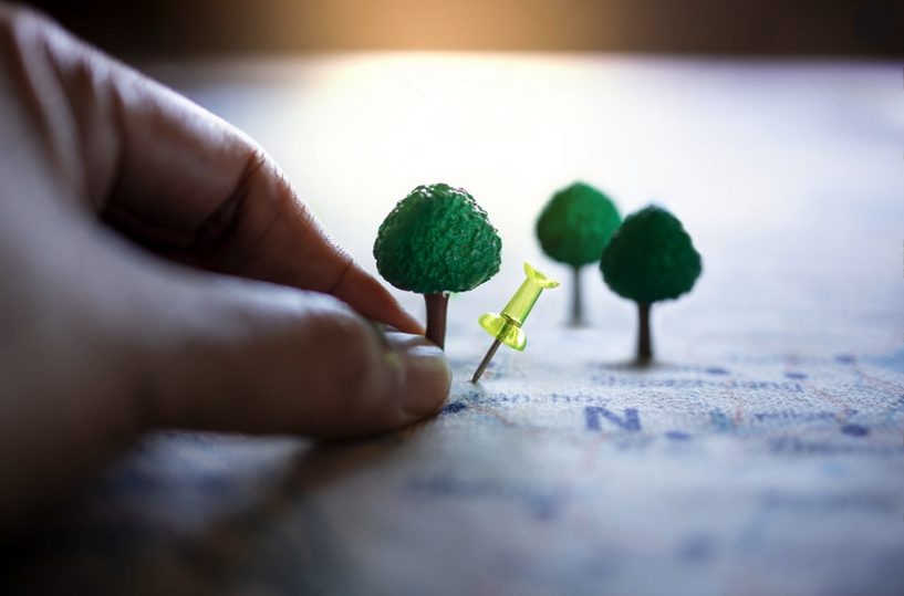 Tree consultancy supporting development and planning