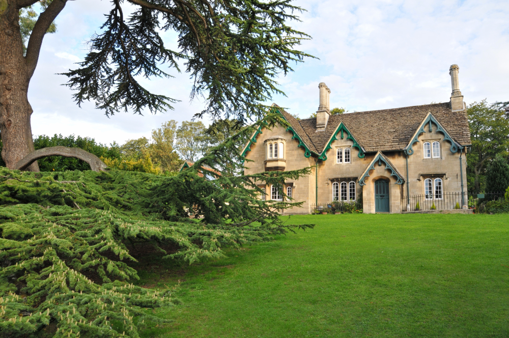 Tree Mortgage Report