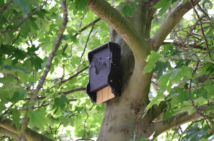 Wildlife boxes designed to provide nesting and habitat sites for birds, bats and other wildlife.