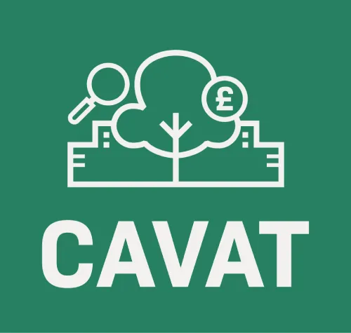 CAVAT_Logo